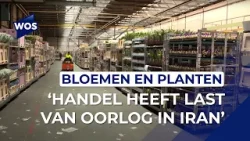 Bloemenhandel heeft last van oorlog Midden-Oosten: 'Rekening van 9.000 euro'
