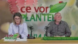 Cum indepartam tuta absoluta  Cristina Ghibu si Horia Ghibu