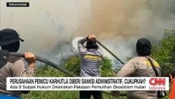 Sebanyak 32 Korporasi Disanksi Terkait Karhutla, Cukupkah?