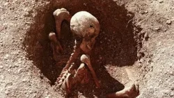 "Remarquable" et "inhabituel" : cinq nouvelles sépultures de gaulois "assis" trouvées à Dijon