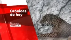 Crónicas de Hoy (28/04/2024) Promo | TVPerú