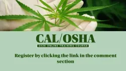 Cal OSHA Training Course Information with Matt Hayashi of Cannabis Clearwater Cal OSHA Training Course Information with Matt Hayashi of Cannabis Clearwater