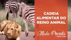 Patty Leone flagra momento exato da caça de um leão africano | MALA PRONTA