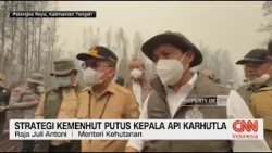 Strategi Kemenhut Putus Kepala Api Karhutla