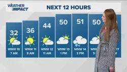 ПОГОДА: Сегодня днем ​​возможен небольшой дождь.