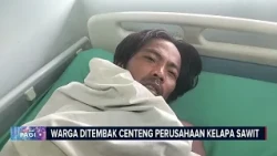 Warga Diduga Ditembak Oknum Polisi yang Jadi Centeng Perkebunan Sawit#BeritasatuMalam