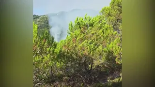 Zjarr në Rriban të Mallakastrës/ Terreni vështirëson ndërhyrjen e shpejtë