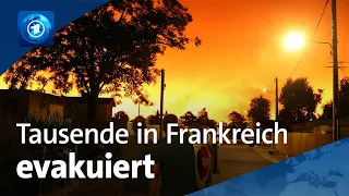 Hitzewellen und Trockenheit: Heftige Waldbrände in Frankreich
