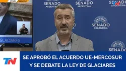 SENADO: se aprobó el acuerdo UE-MERCOSUR y se debate La Ley de Glaciares