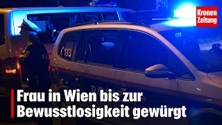 Woman in Vienna choked until unconscious | krone.tv NEWS