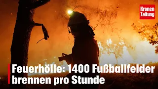 Fire hell: 1,400 football fields burning per hour | krone.tv NEWS