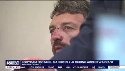 Florida man bites K9 during arrest, deputies say