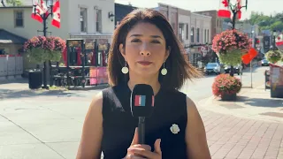 رهبر محافظه‌کاران سنای کانادا به دولت این کشور درباره مدارا با جمهوری اسلامی هشدار داد