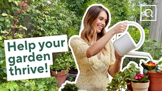 Planting Perennials, Shrubs & Summer Bedding Plants | QVCUK