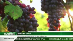Тракийската низина влезе в нова световна карта на виното