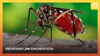 Chikungunya cases skyrocket in Nicaragua