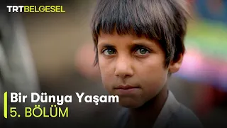 Bir Dünya Yaşam 5. Bölüm | Pakistan: İkiz Şehirlerin Yükünü Çekenler | TRT Belgesel
