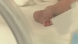 Declining Birth Rates: Fewer Children in Puglia, Concrete Support Needed for Families
