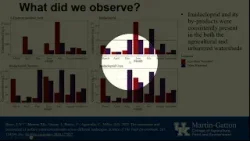 Stormwater Stakeholder Advisory Committee (Dec. 5, 2025) Stormwater Stakeholder Advisory Committee (Dec. 5, 2025)