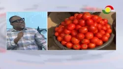 Это благо в обличье несчастья — профессор Гьямпо — Буркина-Фасо запретила экспорт томатов