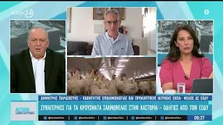 Συναγερμός για τα κρούσματα σαλμονέλας στην Καστοριά - Οδηγίες από τον ΕΟΔΥ | ACTION 24