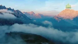 Стихи над миром. Роман Перельштейн. «Изгонял торгующих из храма...»