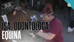 ISA, ODONTÓLOGA EQUINA | COS PÉS NA TERRA