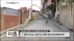 Conductor que atropelló una mascota cuenta su versión “No vi al gato, fue un accidente” Conductor que atropelló una mascota cuenta su versión “No vi al gato, fue un accidente”