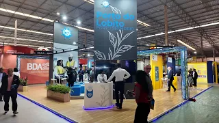 Report: Private companies to take over operations at the Port of Lobito terminals