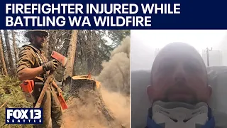 Firefighter battling WA wildfire severely injured by falling tree limb | FOX 13 Seattle