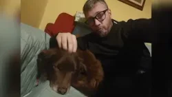 Cagnolino travolto e ucciso: il nuovo appello del proprietario ai residenti della zona