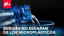 Hallan microplásticos hasta en las bebidas en México - En Punto