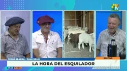 LA HORA DEL... ESQUILADOR