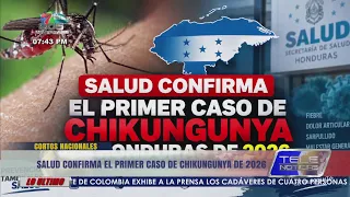 Health authorities confirm the first case of Chikungunya of 2026