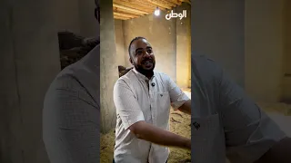 Earning 30,000 EGP in 6 months.. Abdelrahman tells you how to start ostrich farming, the most pro...