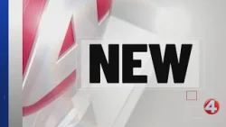 Cheektowaga suspect arrested in Buffalo stabbing