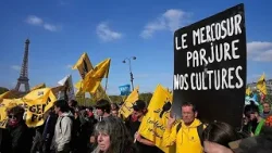 EU member states back Mercosur deal, French MEPs vow fight in Parliament EU member states back Mercosur deal, French MEPs vow fight in Parliament