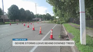 Severe thunderstorms leave behind downed trees