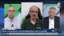 Safras & Mercado vê ambiente favorável para altas no preço da arroba