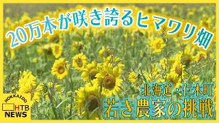 北海道・仁木町の新たな観光名所!?20万本が咲き誇るヒマワリ畑　土地の再生に挑戦する若き農家の思いとは…