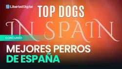 Los "Oscar de los perros" llegan a Madrid: los candidatos a mejor perro del año