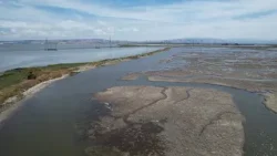 Bay Area community members, lawmakers push for funding to restore tidal marsh to help with flooding