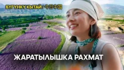 Жаратылышка рахмат | ЖУҢГО ШИНЖАҢ радио теле станциясы Жаратылышка рахмат | ЖУҢГО ШИНЖАҢ радио теле станциясы