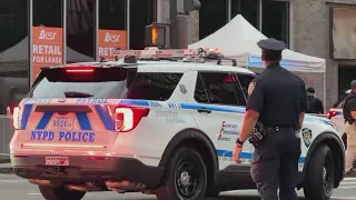 UN General Assembly to bring extra security, protests and gridlock to NYC