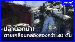 ปลาน็อกน้ำ! ตายเกลื่อนคลองสองกว่า 30 ตัน | จับข่าวคุย | 16 ต.ค. 69