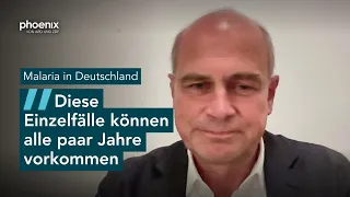 Malaria-Mücken: Insektenforscher Prof. Jürgen May zu den Fällen in Frankfurt