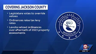 Jackson County Legislature overrides Phil LeVota's vetoes on property tax levies