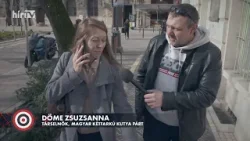 Célpontban a választási körkép - HírTV