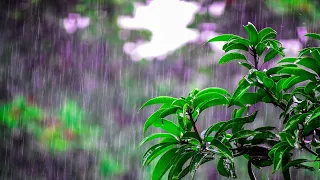 New moisture system to bring rain in the afternoon and evening to several regions of Nicaragua