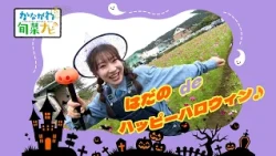 「はだの de ハッピ－ハロウィン♪」かながわ旬菜ナビ 2026/10/30放送